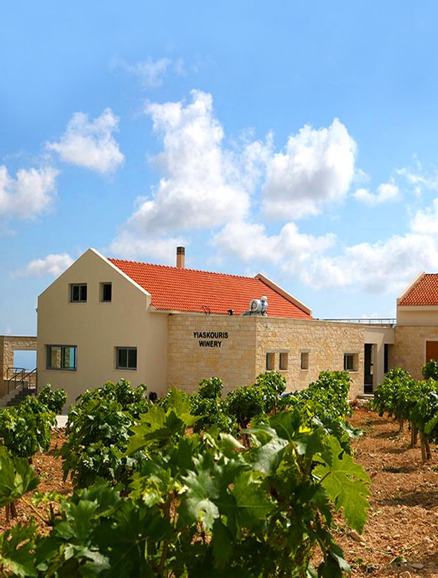 Yiaskouris Winery in Pachna Village